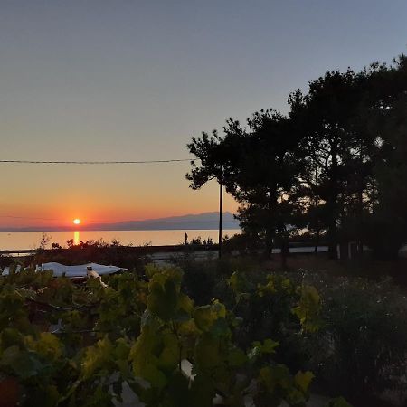 Το Σπίτι Με Το Πηγάδι - Wellcottage Thassos Skála Kallirákhis 外观 照片