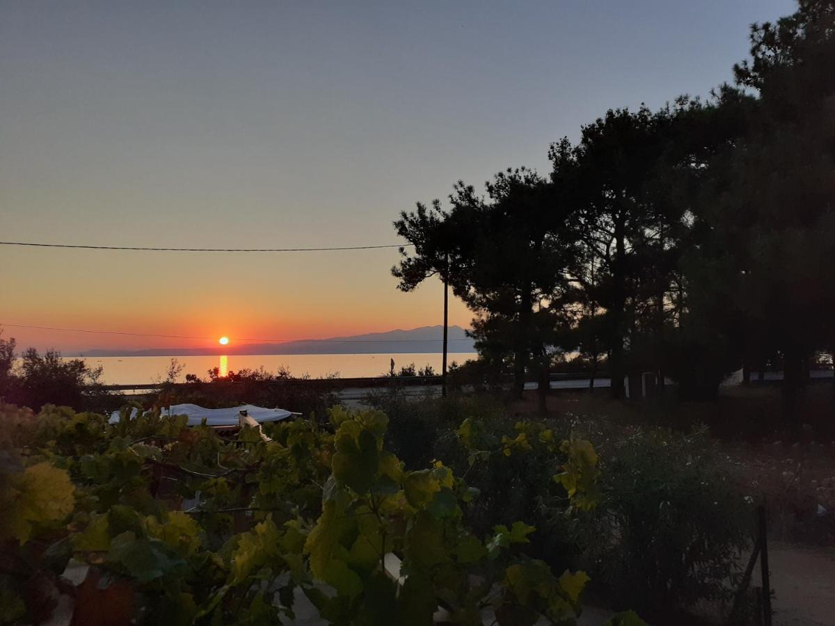Το Σπίτι Με Το Πηγάδι - Wellcottage Thassos Skála Kallirákhis 外观 照片