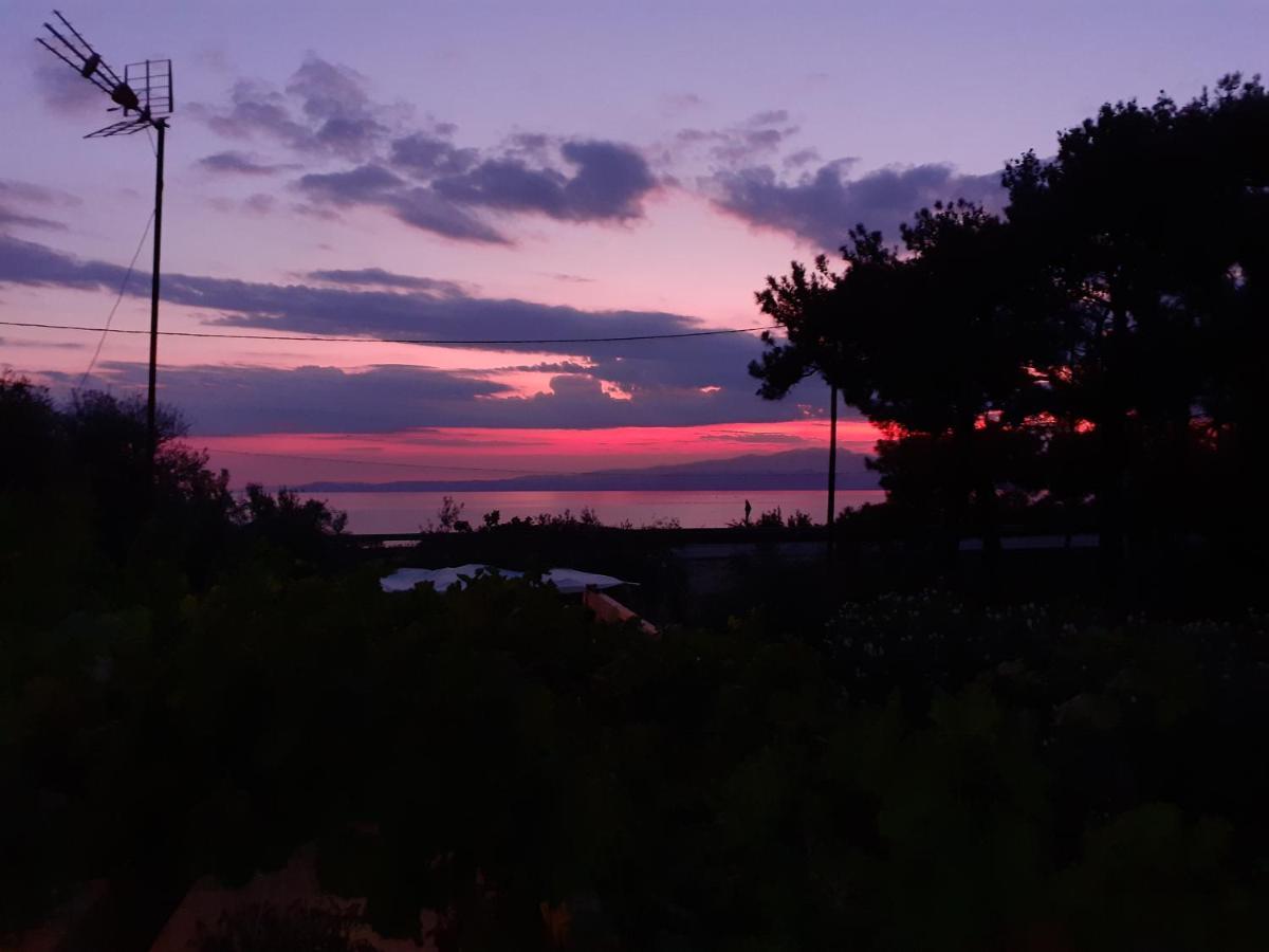 Το Σπίτι Με Το Πηγάδι - Wellcottage Thassos Skála Kallirákhis 外观 照片
