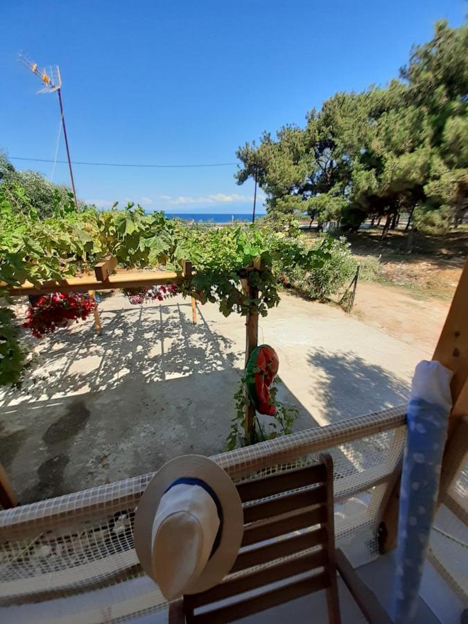 Το Σπίτι Με Το Πηγάδι - Wellcottage Thassos Skála Kallirákhis 外观 照片