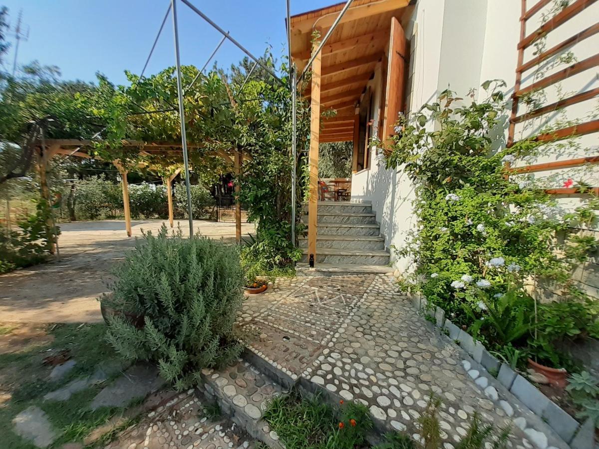 Το Σπίτι Με Το Πηγάδι - Wellcottage Thassos Skála Kallirákhis 外观 照片