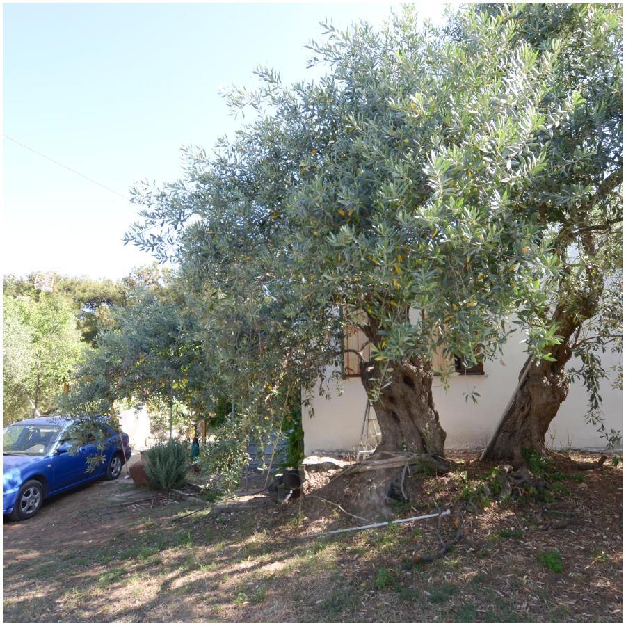 Το Σπίτι Με Το Πηγάδι - Wellcottage Thassos Skála Kallirákhis 外观 照片