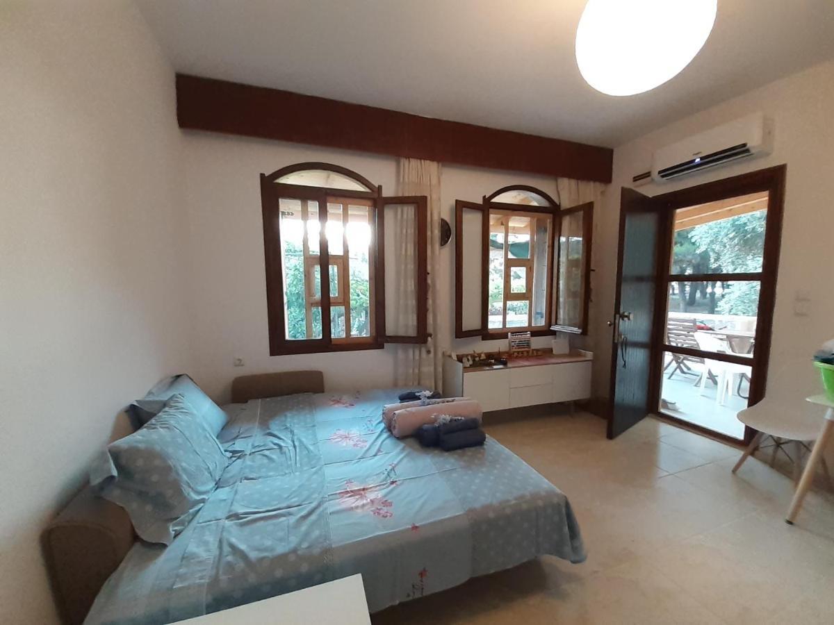 Το Σπίτι Με Το Πηγάδι - Wellcottage Thassos Skála Kallirákhis 外观 照片