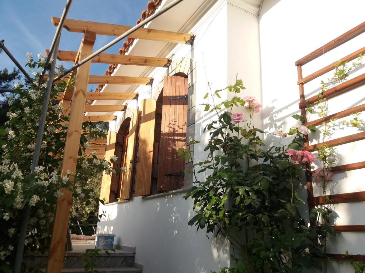 Το Σπίτι Με Το Πηγάδι - Wellcottage Thassos Skála Kallirákhis 外观 照片