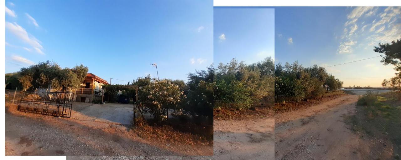 Το Σπίτι Με Το Πηγάδι - Wellcottage Thassos Skála Kallirákhis 外观 照片